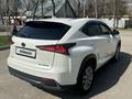 Lexus NX 300h 2020 годаfor20 000 000 тг. в Алматы – фото 8