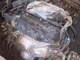 Двигатель f23a 2.3 литра odyssey за 35 000 тг. в Алматы