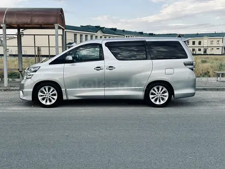 Toyota Vellfire 2009 года за 12 800 000 тг. в Тараз – фото 8