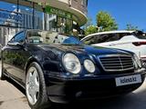 Mercedes-Benz CLK 55 AMG 2000 года за 6 500 000 тг. в Астана – фото 4