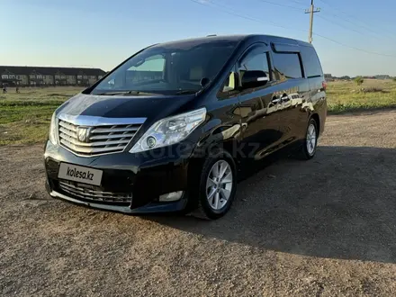 Toyota Alphard 2010 года за 7 500 000 тг. в Уральск – фото 5