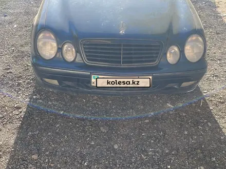 Mercedes-Benz CLK 230 1997 года за 2 300 000 тг. в Павлодар – фото 8