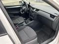 Skoda Octavia 2014 годаүшін4 700 000 тг. в Костанай – фото 5