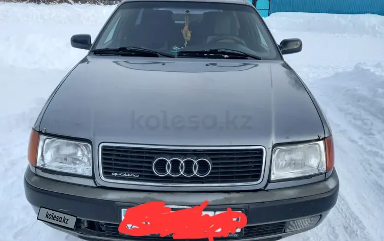 Audi 100 1994 года за 2 800 000 тг. в Новая Шульба