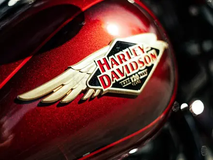 Harley-Davidson  Fat Boy Anniversary 2023 года за 20 000 000 тг. в Алматы – фото 9