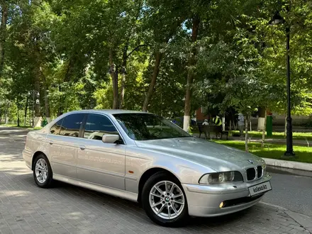 BMW 525 2002 года за 4 300 000 тг. в Шымкент