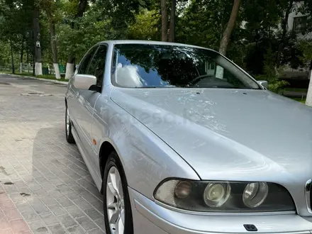 BMW 525 2002 года за 4 300 000 тг. в Шымкент – фото 6