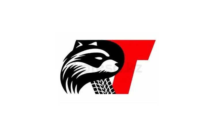 Raccoon Tyres в Алматы