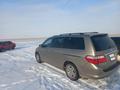 Honda Odyssey 2005 годаfor6 500 000 тг. в Караганда – фото 5