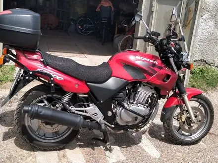 Honda  CB 500F 2000 года за 1 800 000 тг. в Караганда – фото 2