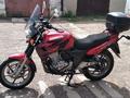 Honda  CB 500F 2000 года за 1 800 000 тг. в Караганда – фото 4