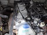 Двигатель на Honda Akord D16B6 за 250 000 тг. в Алматы