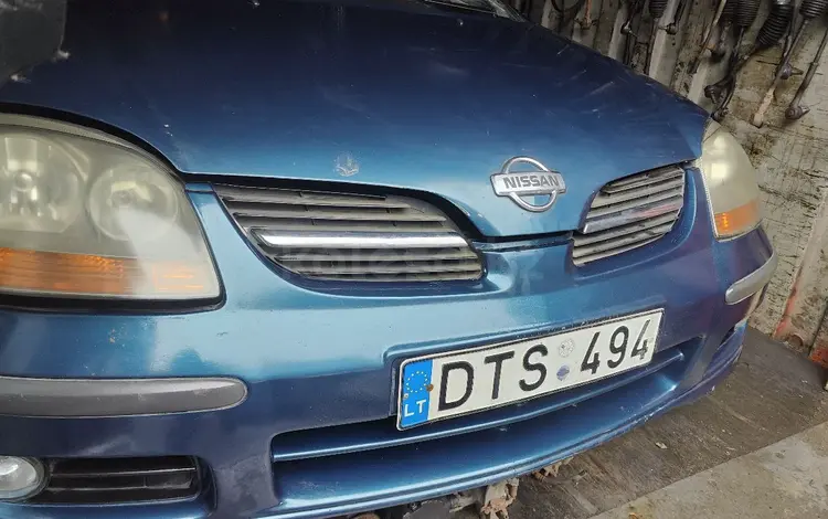 Носкат мини морда на Nissan Almera Tinoүшін200 000 тг. в Алматы