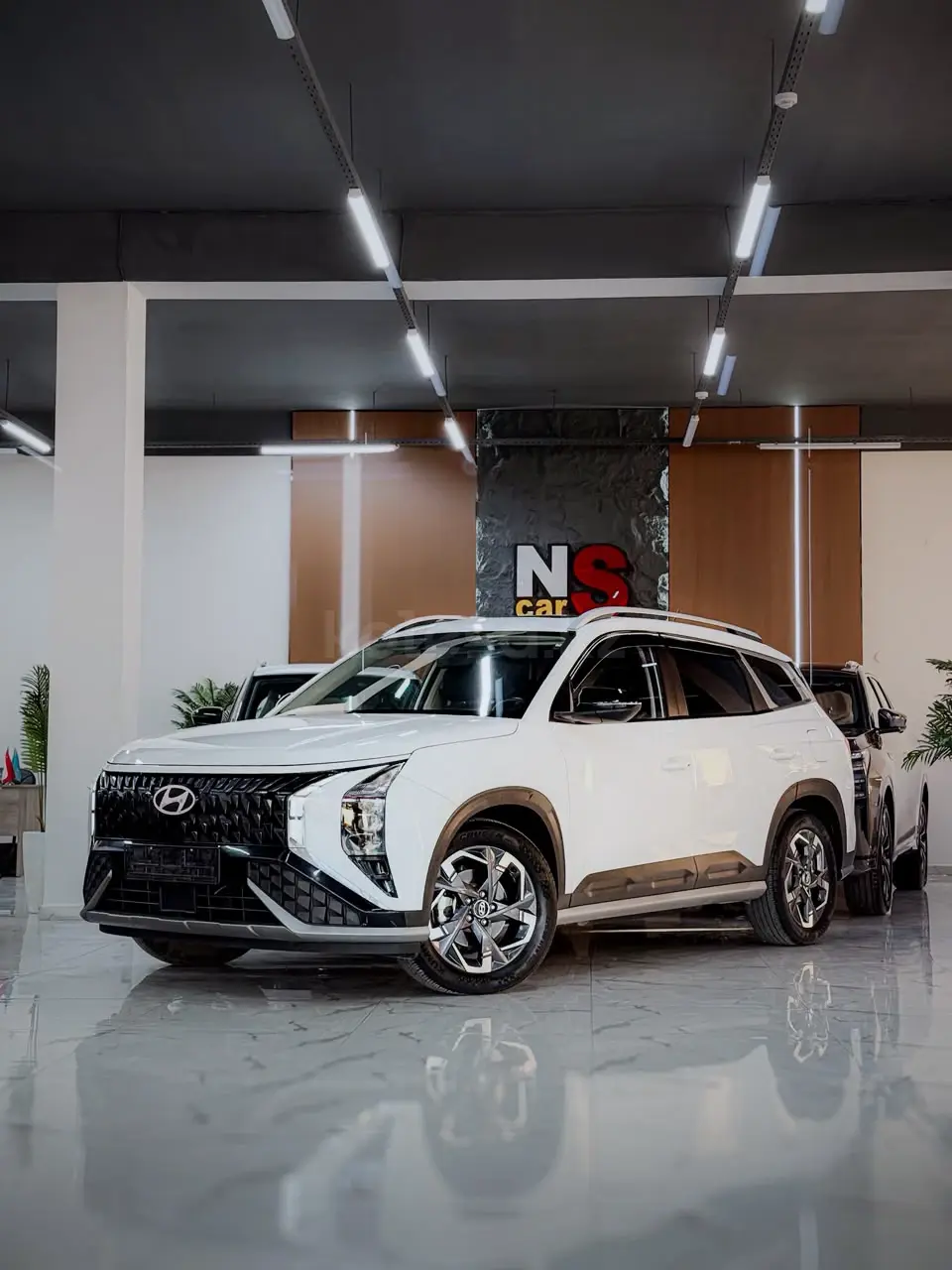 Hyundai Mufasa, 2024