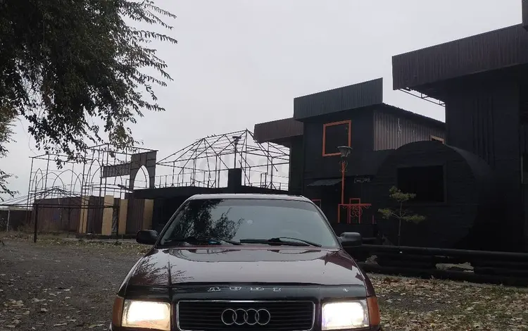 Audi 100 1993 года за 1 600 000 тг. в Талдыкорган