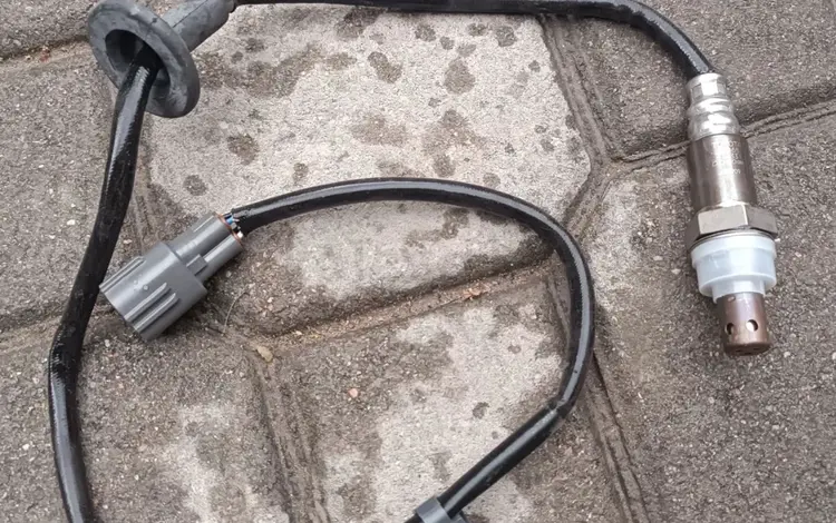 Кислородный датчик лямбда зонд тойота за 12 500 тг. в Петропавловск