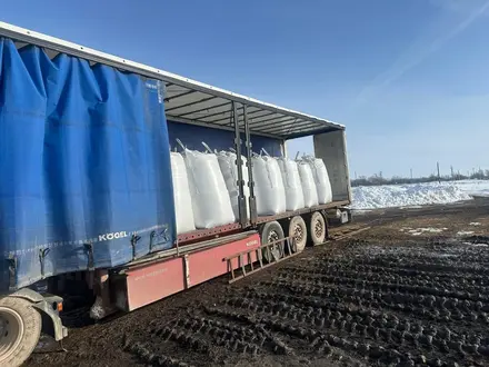 Renault  Magnum 2010 года за 24 000 000 тг. в Астана – фото 4
