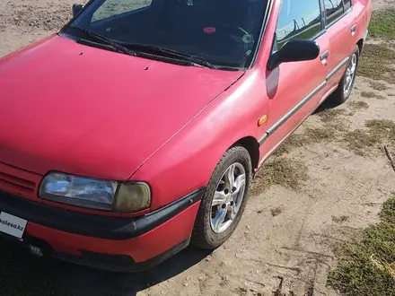 Nissan Primera 1994 года за 1 250 000 тг. в Петропавловск – фото 2