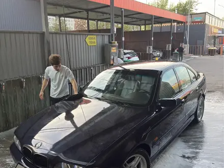 BMW 530 2002 года за 6 000 000 тг. в Алматы – фото 4