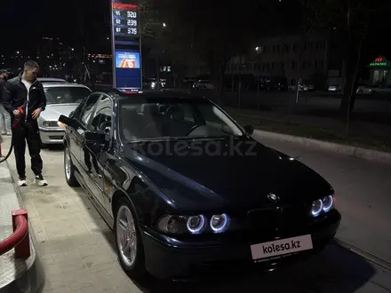 BMW 530 2002 года за 6 000 000 тг. в Алматы – фото 7
