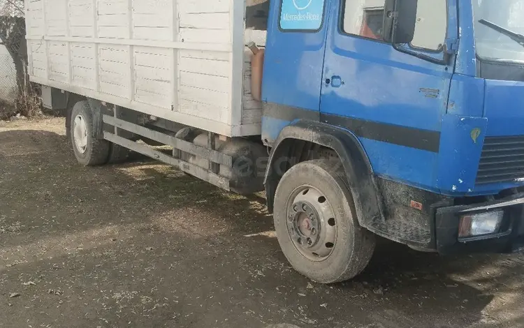 Mercedes-Benz  817 1996 года за 8 300 000 тг. в Шымкент