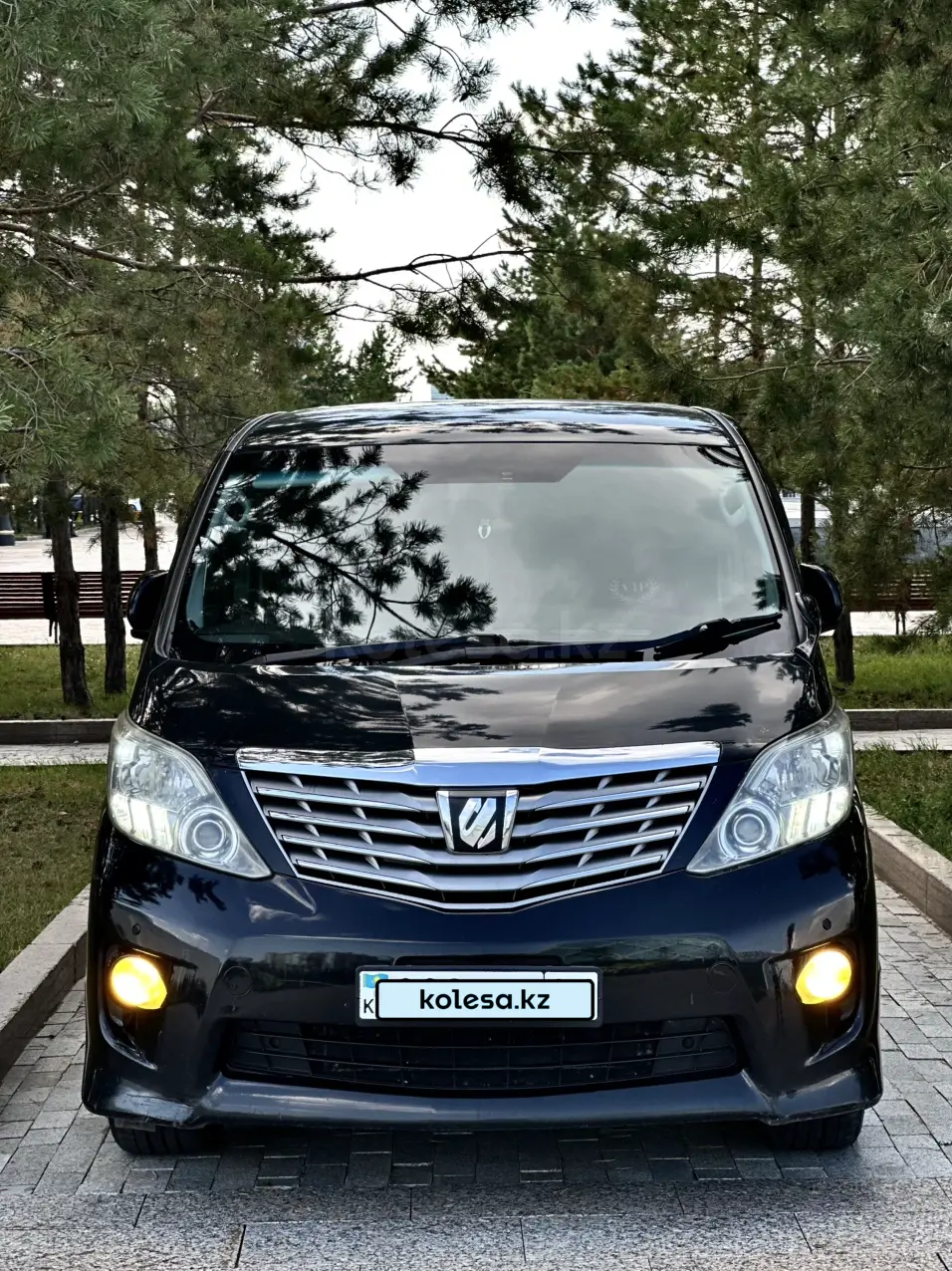 Toyota Alphard, 2010