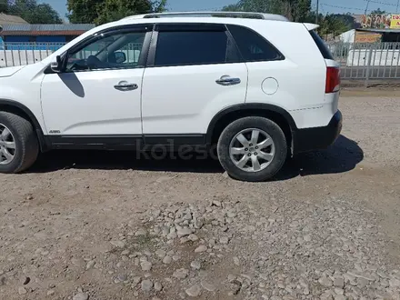 Kia Sorento 2010 года за 7 800 000 тг. в Мерке – фото 3