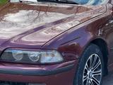 BMW 525 2000 годаүшін3 300 000 тг. в Астана – фото 2