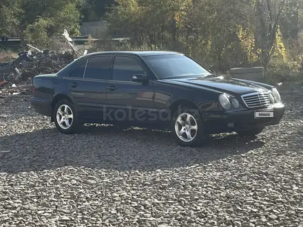 Mercedes-Benz E 240 2000 года за 3 600 000 тг. в Жезказган – фото 5