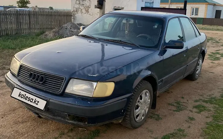 Audi 100 1991 года за 600 000 тг. в Павлодар