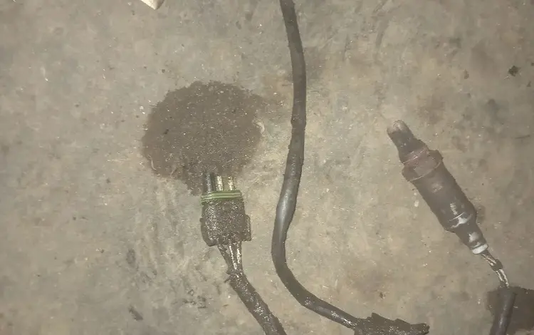 Лямбда-зонд опель омега за 15 000 тг. в Караганда