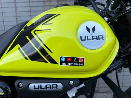ULAR  Мотоцикл ULAR CG50-D2 Тараз 2026 года за 330 000 тг. в Тараз – фото 16