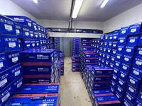 Амортизаторы за 10 000 тг. в Алматы