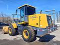 XCMG  LW300 2022 годаүшін13 000 000 тг. в Караганда – фото 10