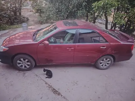 Toyota Camry 2002 года за 3 200 000 тг. в Шымкент – фото 3