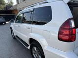 Lexus GX 470 2007 года за 14 500 000 тг. в Алматы – фото 4