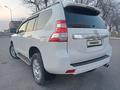 Toyota Land Cruiser Prado 2012 года за 15 000 000 тг. в Шу – фото 4