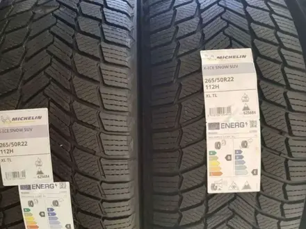 Michelin X-Ice Snow SUV 265/50 R22 112H за 350 000 тг. в Талдыкорган – фото 6