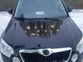 Skoda Yeti 2012 года за 5 400 000 тг. в Астана – фото 3