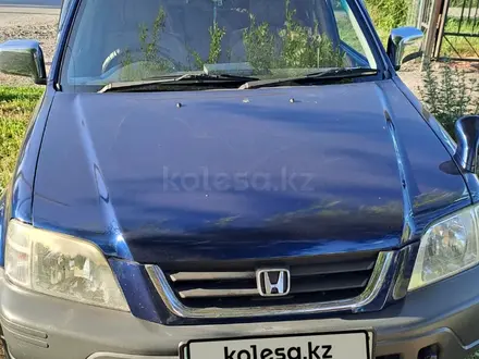 Honda CR-V 1996 года за 3 000 000 тг. в Талдыкорган – фото 3