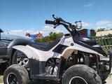 Mike-motors  ATV 2022 годаүшін290 000 тг. в Усть-Каменогорск – фото 2