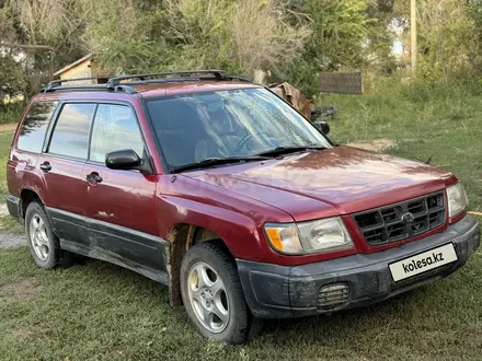 Subaru Forester 1998 года за 1 700 000 тг. в Талдыкорган – фото 9