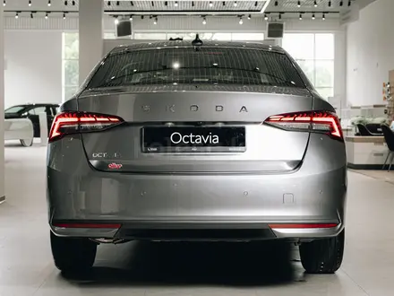 Skoda Octavia Selection 2026 года за 18 490 000 тг. в Алматы – фото 18