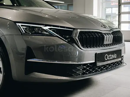 Skoda Octavia Selection 2026 года за 18 490 000 тг. в Алматы – фото 3