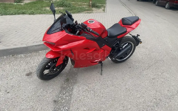 Ducati  1199 Panigale 2024 года за 950 000 тг. в Караганда