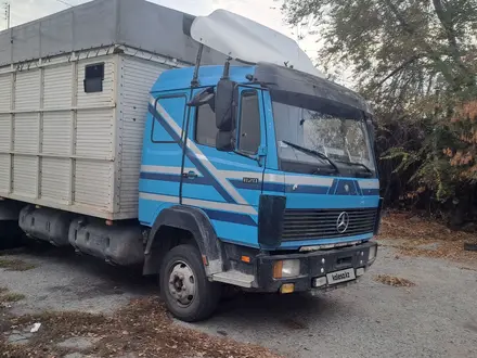 Mercedes-Benz  817 1992 года за 8 500 000 тг. в Талдыкорган – фото 6