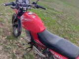 Yamaha  YBR125 2022 года за 380 000 тг. в Уральск – фото 2