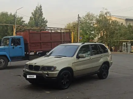 BMW X5 2003 года за 4 500 000 тг. в Алматы – фото 11