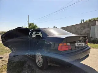 BMW 325