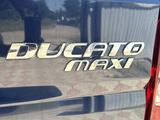 Fiat Ducato 2012 годаүшін7 500 000 тг. в Актобе – фото 5